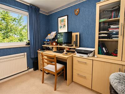 Picture 20